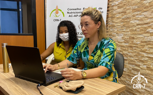 Read more about the article Setor de Fiscalização orienta Responsáveis Técnicos de municípios do Pará e Amapá